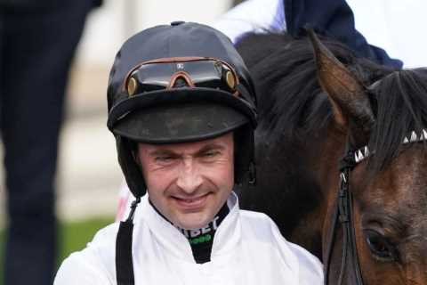Constitution Hill running plans confirmed as Nicky Henderson’s Cheltenham superstar warms up for return