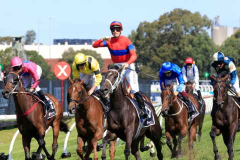 Arc de Triomphe bosses could break 29-year-old rule amid threat of huge fallout from eliminating top horses