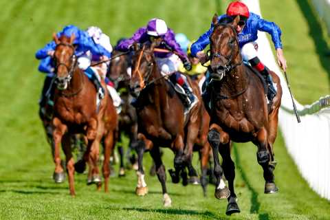 Adayar OUT of the Arc de Triomphe as Godolphin plot blockbuster showdown against Baaeed on Ascot Champions Day