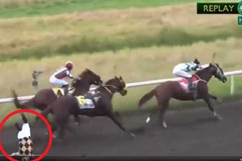 ‘The worst thing I’ve ever seen’ – Jockey banned for LIFE after pushing rival off horse named Lukaku mid-race