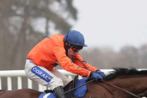 Trainer David Pipe ‘beyond heartbroken’ as horse Adagio suffers fatal heart attack two days before big race