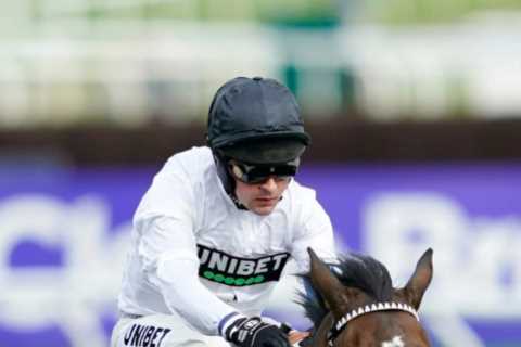 Top jockey Nico de Boinville compares Champion Hurdle contender Constitution Hill to legendary racehorse Altior