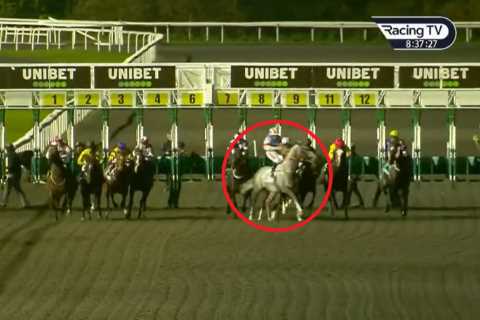 ‘Utter madness’ – fury over controversial Kempton race as horse ’causes carnage’ but result still stands