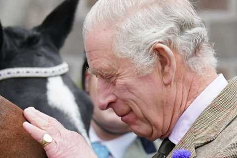 King Charles earns over £1million selling 14 of Queen’s beloved horses as Royal racing operation undergoes big shake-up