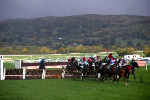 Punters outraged after family forced to throw food in the bin before entering Cheltenham racecourse