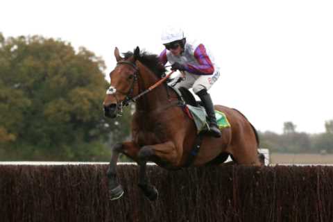 Charlie Hall Chase: Brilliant Bravemansgame downs Ahoy Senor and now just 3-1 for the King George on Boxing Day