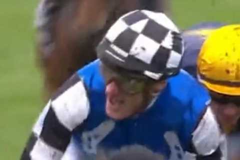 Gold Trip wins dramatic Melbourne Cup after vandal breaks onto course and sprays 1000 litres of ‘oily sludge’ onto track