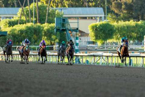 Inside the mind of world’s greatest horse Flightline – a padded stall, kicking the walls and staring at the stars