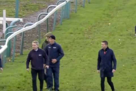 Racing abandoned at Sedgefield after tragedy strikes when two horses sadly suffer fatal injuries in same race
