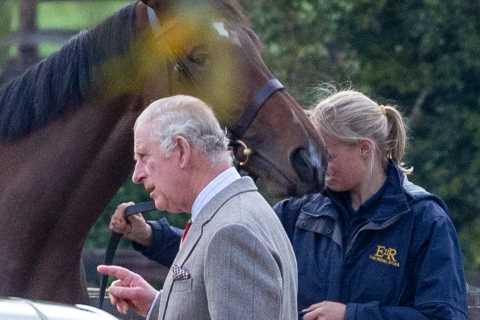 King Charles pictured inspecting Queen’s racehorses before making £1m by selling 14 of them in Royal racing shake-up