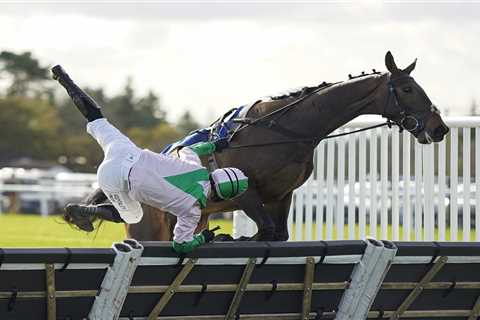 Amazing photos show jockey’s spiralling head-first fall onto the turf after unruly horse unseats him at Exeter