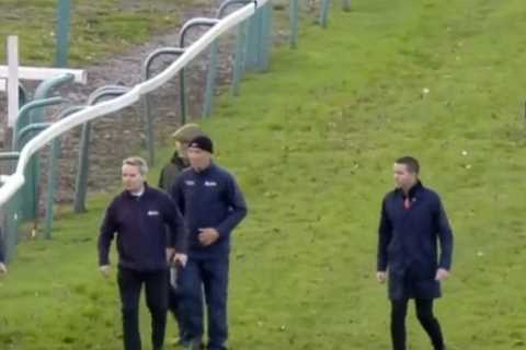 Sedgefield axes next meeting amid investigation into track’s safety after two horses die in the same race