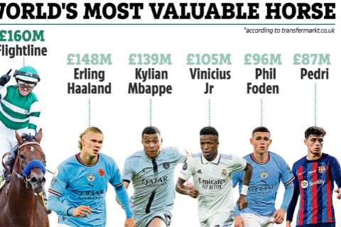 Meet the £160million horse worth more than Erling Haaland and any footballer – Flightline is sport’s hottest property