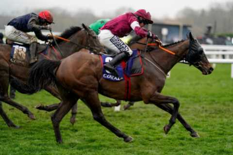 ‘And so it begins’ – ante-post punters panicking as another big Cheltenham Festival hope is ruled out