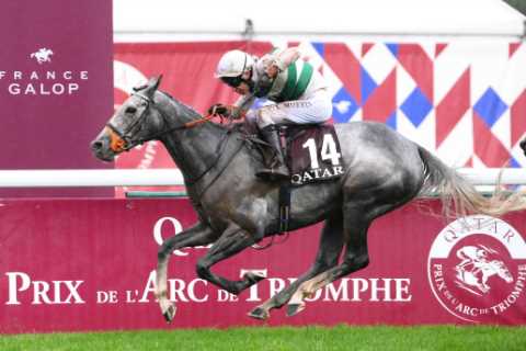 Superstar horse Alpinista forced into shock retirement days before tilt at £2.4million payday in Japan Cup