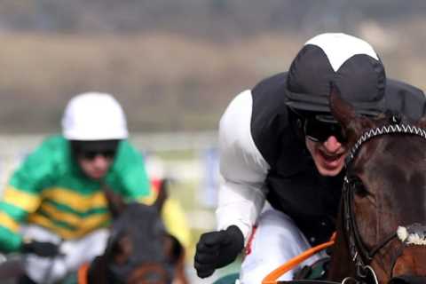 The Cheltenham Festival stars lurking this weekend and why now is the time to back them