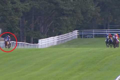 Jockey ‘stitches up’ rivals with amazing ride even losing punters have to stop and applaud