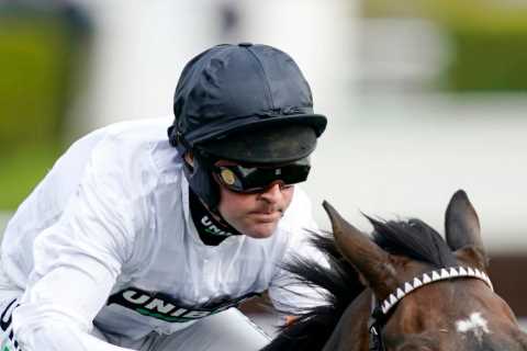 Superstar Constitution Hill’s return ‘in the air’ but Jonbon is back says trainer Nicky Henderson