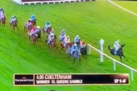 TV viewers left in shock as Williamstowndancer jumps rail at Cheltenham and sends Bryony Frost flying off