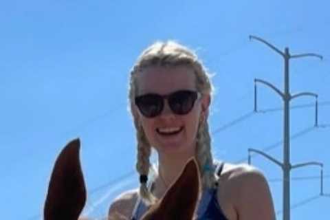 Matt Chapman: Horses can wear goggles – the solution to this low sun nonsense is already here