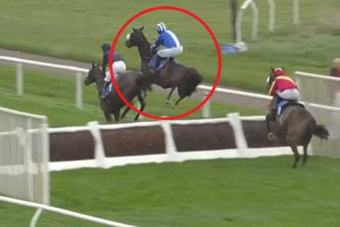 ‘The Ronaldo of horses’ – punters in stitches watching horse pull off ‘worst jumping ever’ with needlessly huge leaps