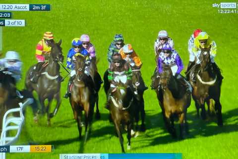 Absolute chaos at Ascot with jockey thrown through railing and another two sent crashing to turf
