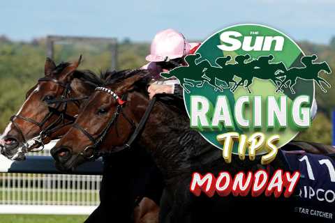 My ‘ultra-consistent’ NAP can strike for shrewd trainer Milton Harris