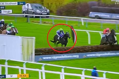 ‘What have I just seen?’ – watch jockey’s bizarre fall at the last that’s left punters absolutely baffled