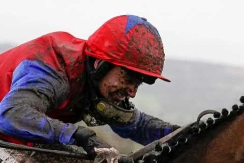Are these the Cheltenham Festival ante-post bankers? Five stars who look rock solid