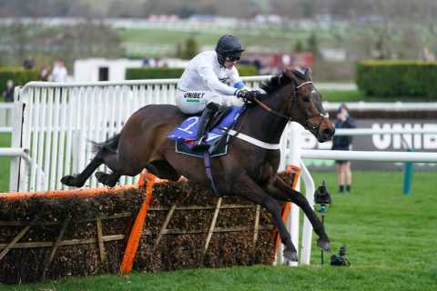 ‘He is a freak’ – Nicky Henderson blown away as Champion Hurdle favourite Constitution Hill bolts up at Newcastle