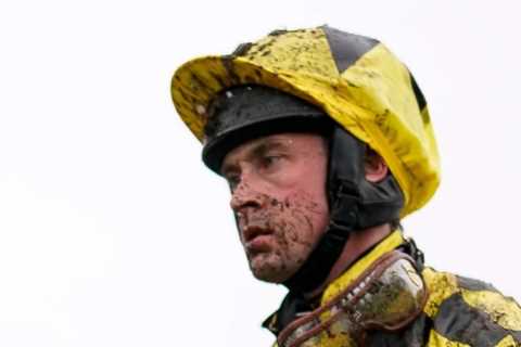 Shishkin favourite for blockbuster Betfair Tingle Creek return with all roads leading to Champion Chase revenge