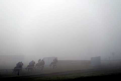 ‘Disgraceful’ – punters slam ‘ridiculous’ Wincanton racing as fog means no one can see anything