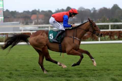 Facile Vega opens a laughable 1-7 for hurdles debut as Paul Townend drools over ‘exciting’ potential superstar