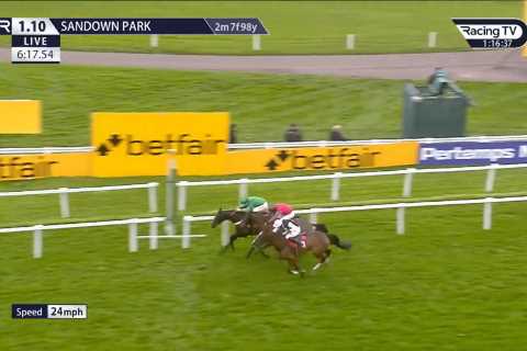 ‘There’s no excuse’ – jockey banned for 32 DAYS after throwing race away with winning post error at Sandown