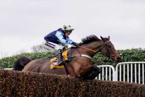 Edwardstone cruises to Tingle Creek victory and now as short as 11-4 for the Champion Chase at Cheltenham