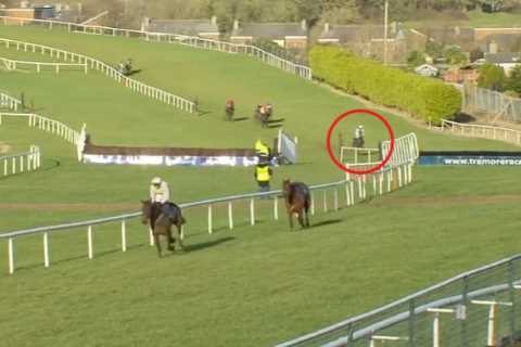 ‘He must be a furlong in front!’ – Horse who let down thousands of Cheltenham accas wins by 86 LENGTHS on comeback