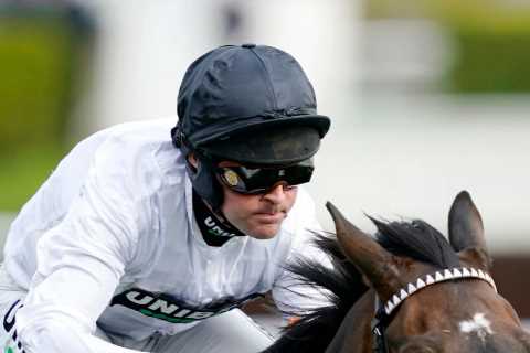 Five Christmas horses to follow: 12-1 tip for handicap plot and four others you won’t want to miss