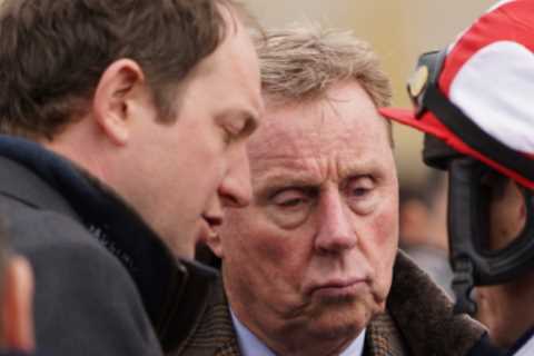 Harry Redknapp hopes he can fulfil his dreams this year with Cheltenham winner and World Cup glory for England