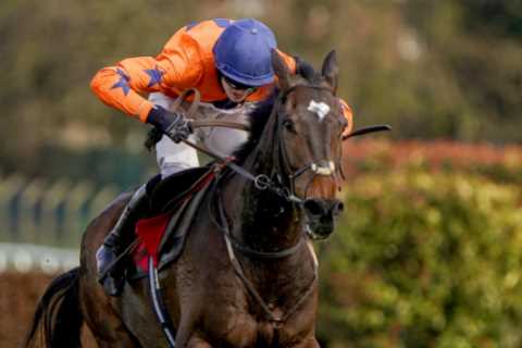Templegate reveals 10-1 Christmas cracker begging to be backed in gruelling Welsh Grand National at Chepstow