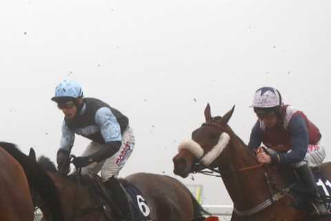 Punters share clever idea for racing at Ascot to go ahead this weekend even as ice and snow forces mass fixture chaos