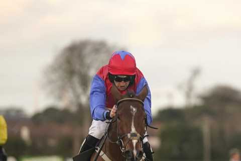 Facile Vega a massive drifter in one Cheltenham Festival market as huge clue dropped for March target