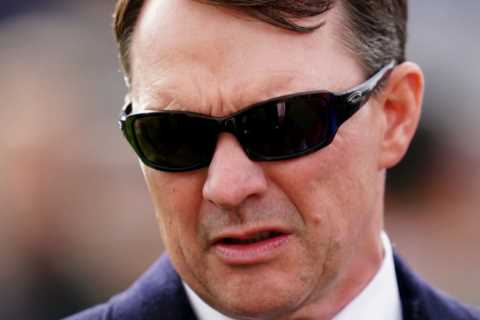 ‘Irreparable damage’ – Aidan O’Brien tells Matt Chapman ‘shocking’ new whip rules may be death knell for British racing