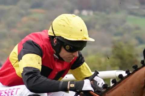 Champion Hurdle hope Knight Salute likely to miss rest of season after ‘severe’ setback, reveals devastated trainer