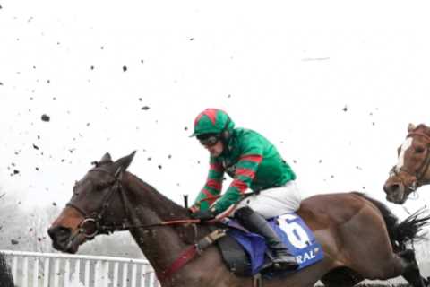 Crowds set to return at Chepstow for Welsh Grand National day for the first time in THREE years