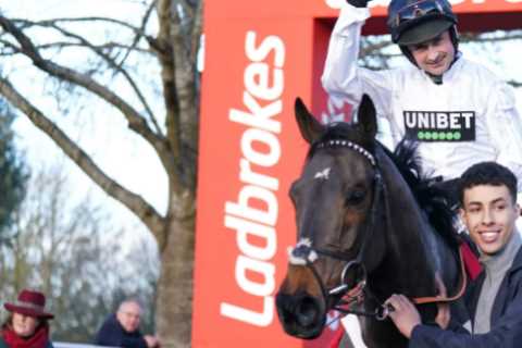 ‘It’ll be a shame for everybody’ – Constitution Hill prediction set to leave punters saddened in run up to Cheltenham