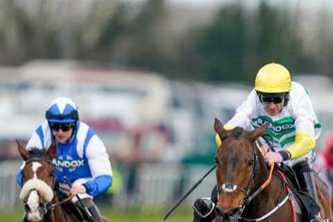 ‘Devastating news’ – fans heartbroken as two exciting horses sadly killed in the same race at Leopardstown