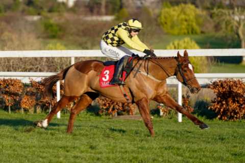 New star horse emerges as main danger to Constitution Hill in the Champion Hurdle