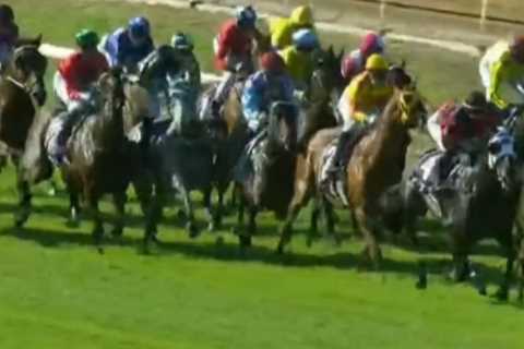 More than 10,000 punters left in silence after jockey’s ride leads to tragic death of racehorse