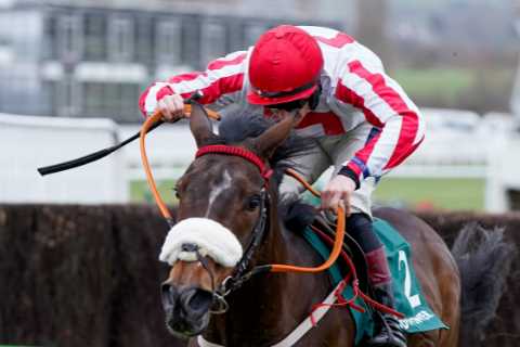 You could already be onto a huge winner if you backed these horses as bookies reveal biggest Cheltenham Festival movers