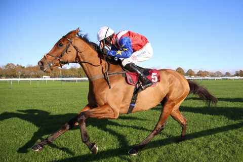 Tolworth Hurdle: Templegate’s 9-4 tip and runner-by-runner guide to Sandown Grade 1